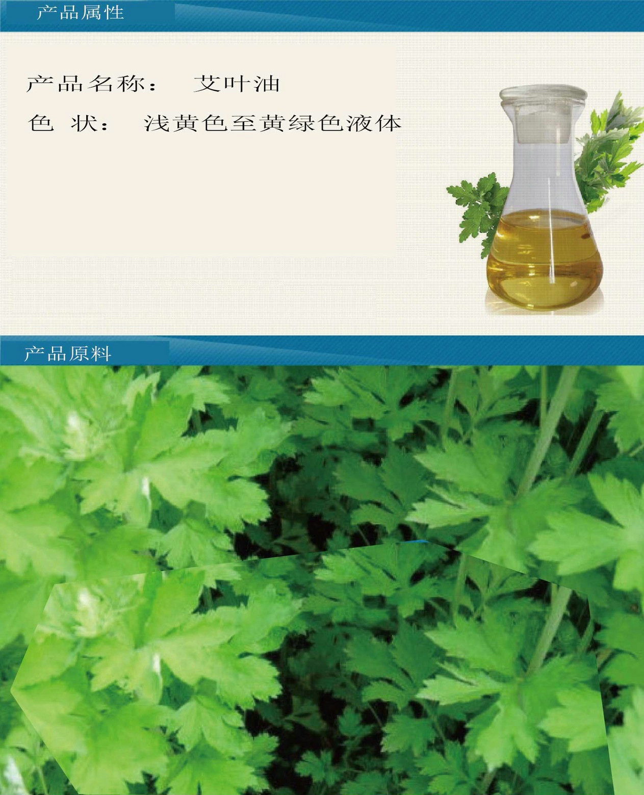 厂家直销 艾叶油 艾炙原料 艾蒿精油  日化原料示例图3