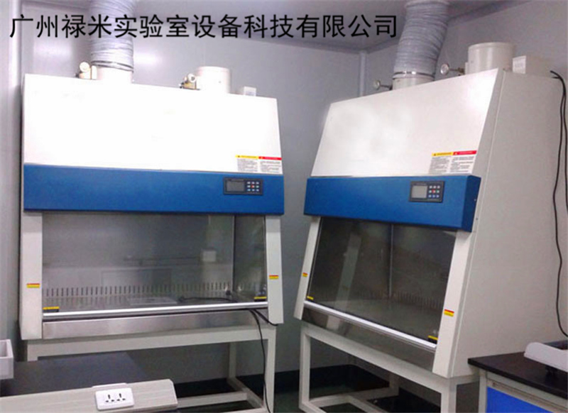 禄米实验室专业定制 生物安全柜 实验室用品 双人工作台 现货供应LUMI-SW19