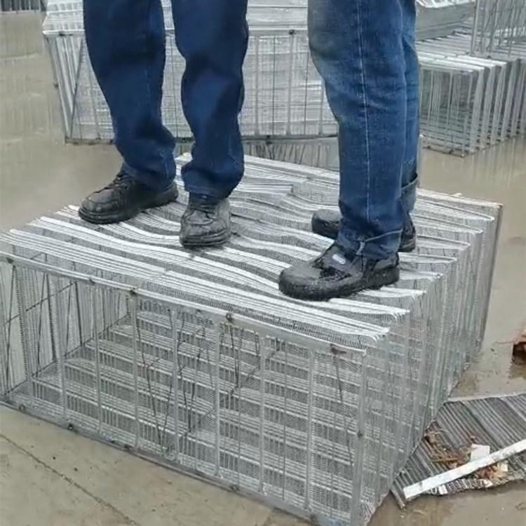 优质金属钢网箱 生产收口网网箱 抗浮不漏浆免拆钢网箱厂家