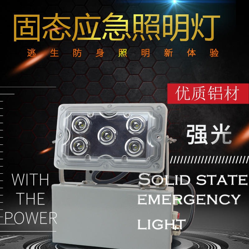洲创电气停电自动切换应急照明灯NFC9178固态应急照明灯GAD605-J变电站LED低顶灯  铁路石化嵌入式三防壁灯