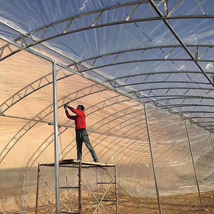 泊头丞昊农业 厂家直销 供应双膜骨架草莓大棚 100C型钢 双梁日光温室
