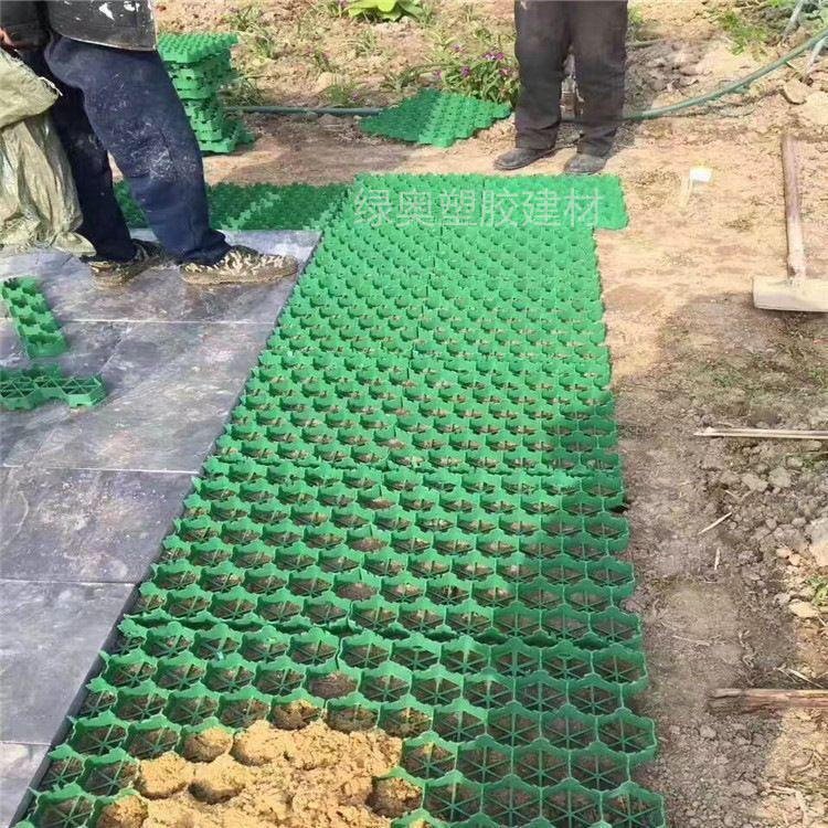 塑料植草格厂家现货 排水性好维护简单植草砖园林绿化 草坪砖图片