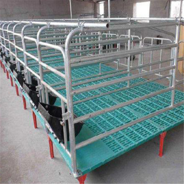 自动化养殖肥猪定位栏 生产猪用限位栏 晟坤  厂家供应