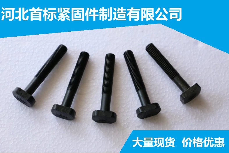 专业生产T型螺栓 高强度T型螺栓 定制各种T型特种螺栓示例图4