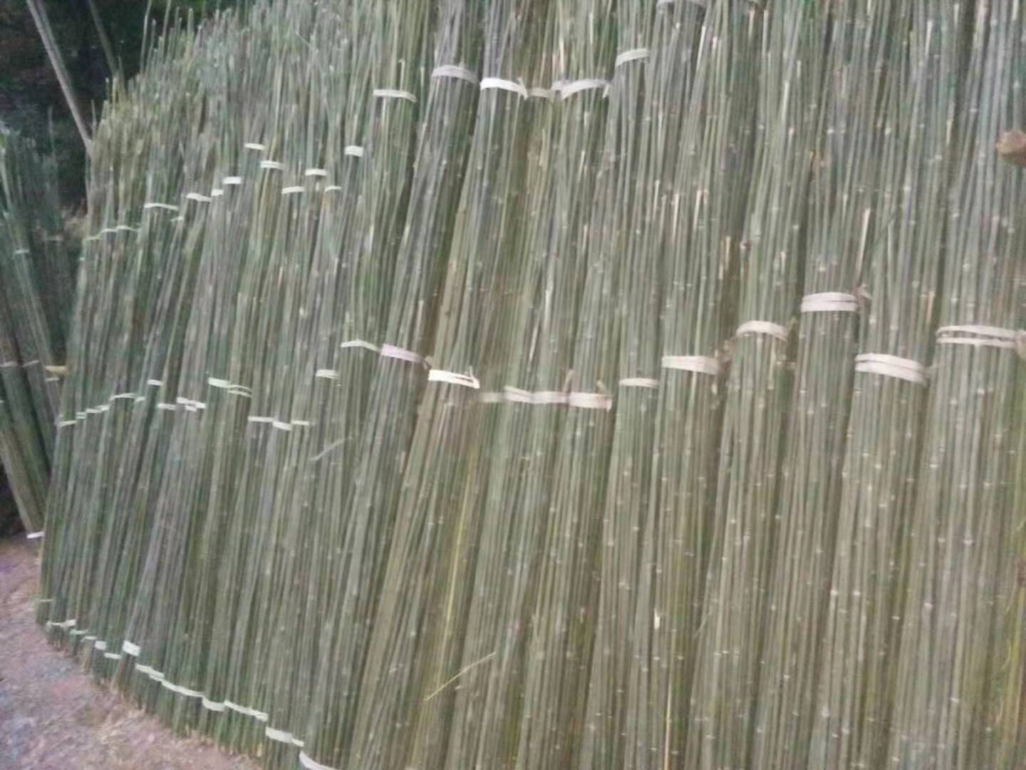 大棚葡萄架农用竹竿 大量批发2.7米长种菜用竹子 蔬菜爬藤搭架用竹子图片