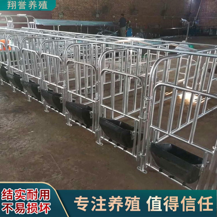 养殖设备猪围栏 猪用限位栏 猪场栏位 厂家定制翔誉