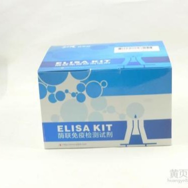 试剂盒 大鼠氧化低密度脂蛋白试剂盒 OxLDL试剂盒 ELISA试剂盒 慧嘉生物