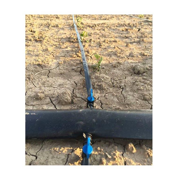 田区灌溉水肥一体化预算 田区灌溉水肥一体化设计 水肥一体化前部系统
