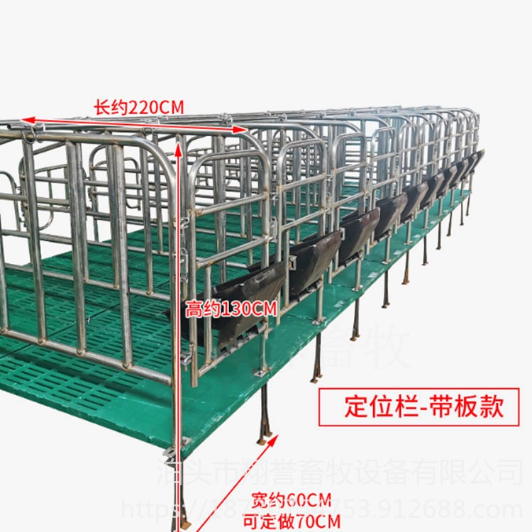 定位栏落地式 限位栏10位国标热镀锌 带母猪食槽养猪杨养殖用 翔誉