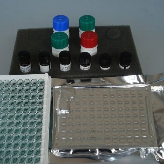 人激肽释放酶6试剂盒 KLK 6试剂盒 激肽释放酶6ELISA试剂盒 厂家直销