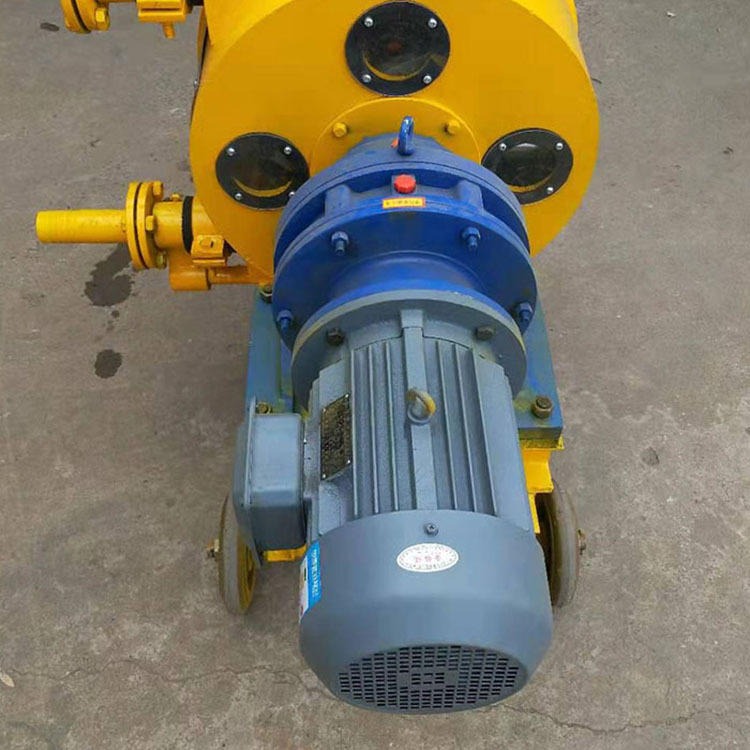 河南濮阳工业软管泵 挤压水泥泵 动物粪便输送泵 质保一年