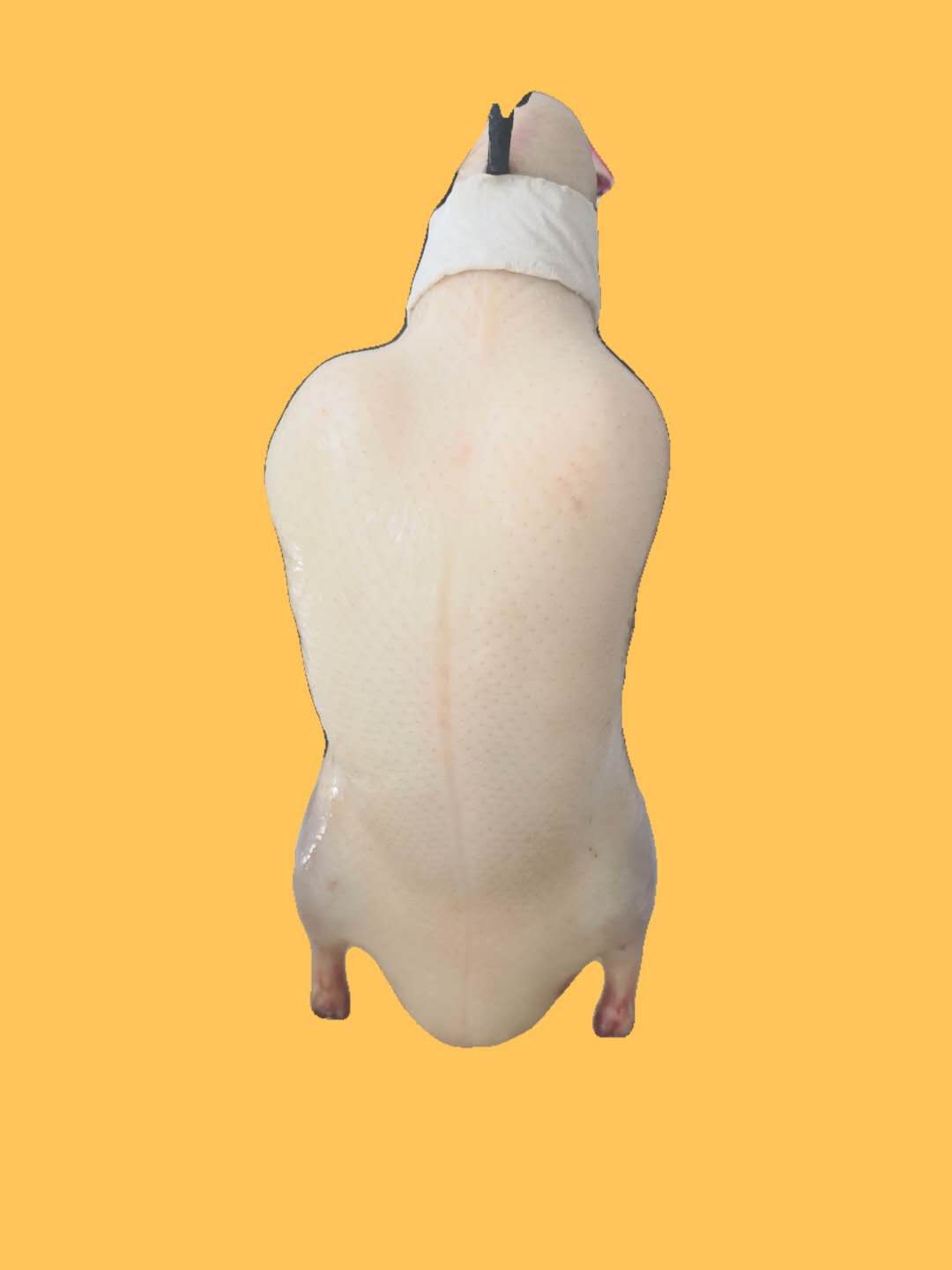 色坯 成胚樱桃谷鸭胚质高价优冷冻净膛鸭