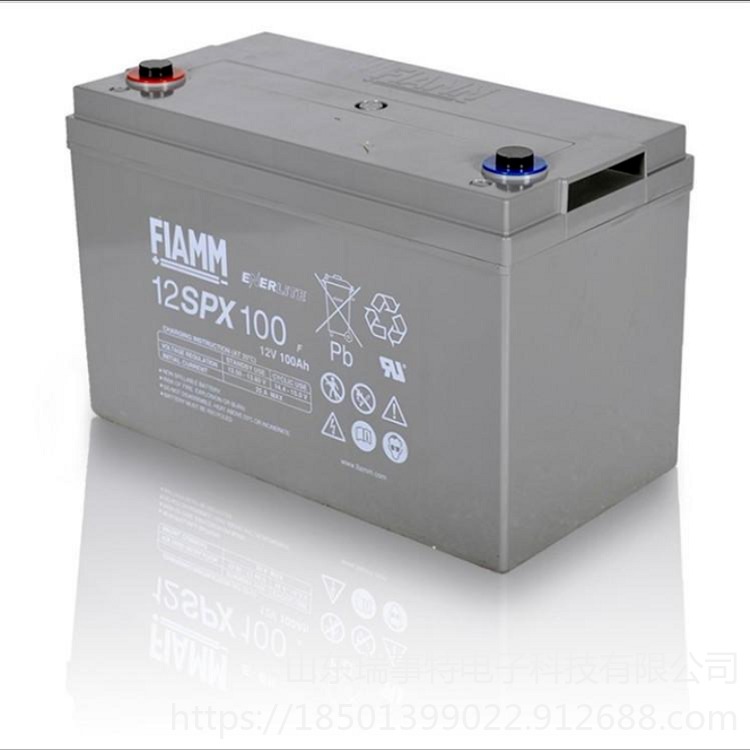 非凡蓄电池12SP100 12V100AH通信机房电源 电力应急电池 代理