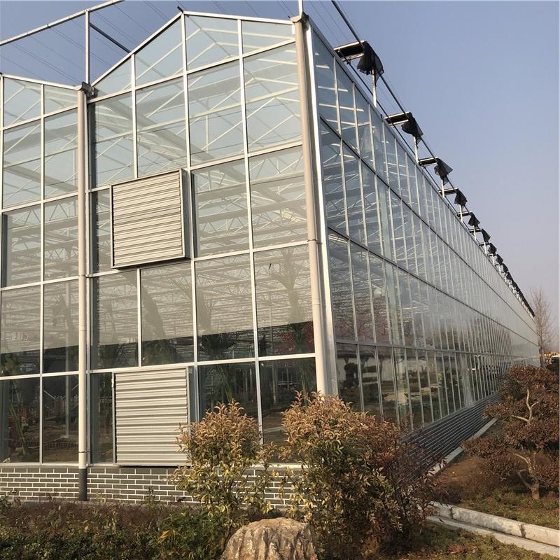 玻璃温室 玻璃智能温室 玻璃温室大棚建造 博伟