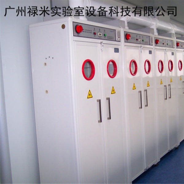 禄米实验室定制广州全钢气瓶柜  单瓶气瓶柜  双瓶气瓶柜  防爆气瓶柜LM-QPG8264