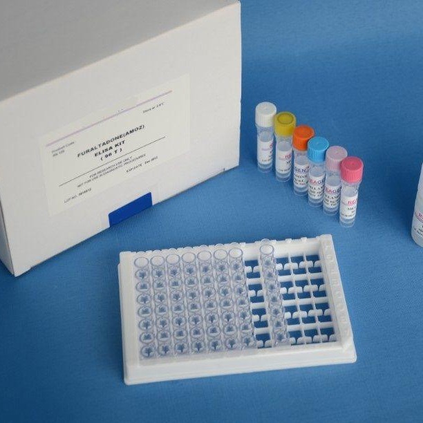 科研试剂 人蛋白激酶C受体1(RACK1)ELISA试剂盒 RACK1试剂盒 酶联免疫法