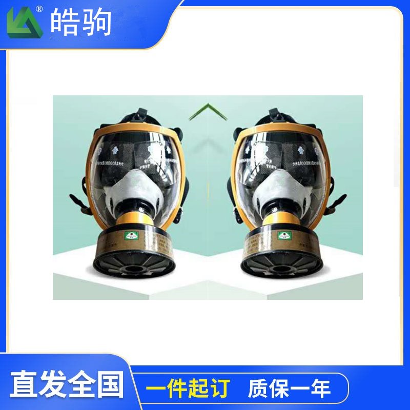 皓驹 HJF05   防甲醛全面具防尘毒面具  呼吸防护面罩   化工农业消防全面罩  GB2890自吸  防毒面具