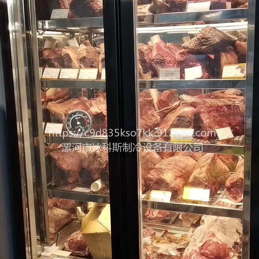 无锡恒温风冷排酸柜 肉类冷藏展示柜 牛肉熟成柜  未来雪冷柜 工厂定制 未来雪冷柜 WLX-NR-123图片