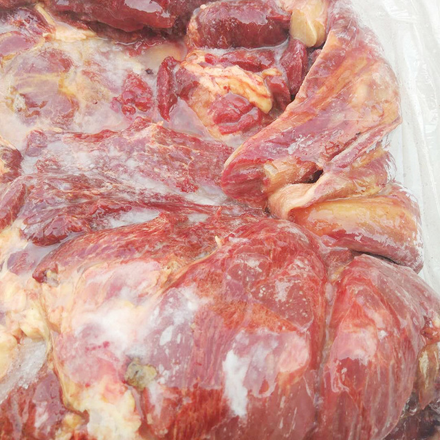 厂家直销  蒙古草原进口马肉 新鲜前腿肉质鲜美营养丰富