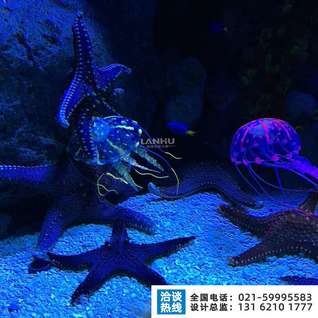lanhu海洋馆设备 新型环保水族馆鱼缸设备 主题公园海洋馆造景