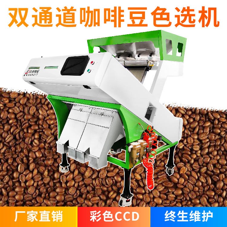 双通道咖啡豆色选机 6SXZ-136 深圳中瑞微视厂家直销 小型全自动咖啡豆色选机, 产量大 效果优