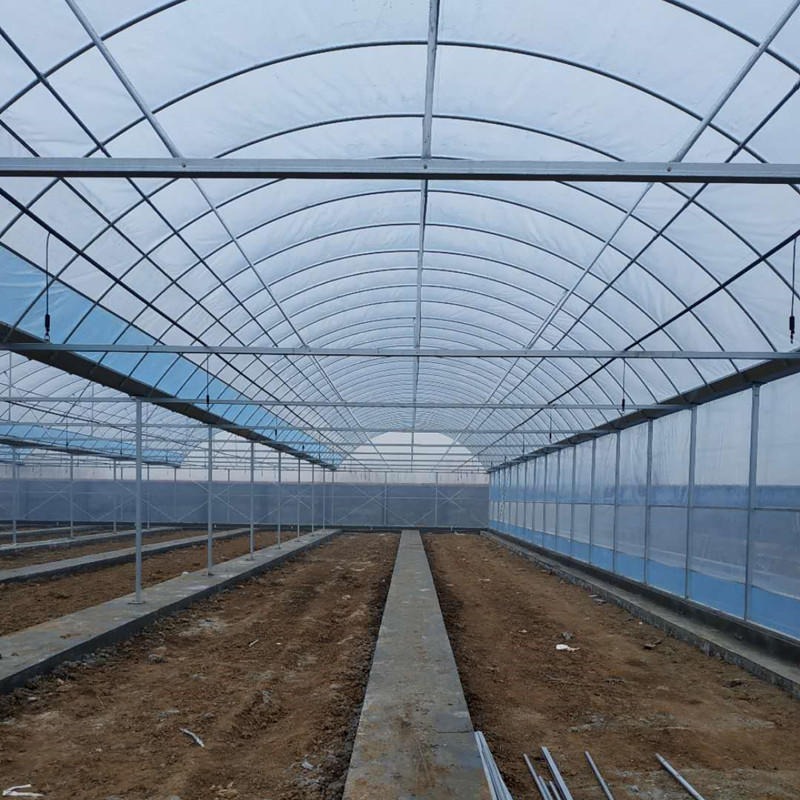 钢架育苗棚的搭建 钢架大棚一亩地需要 西红柿种植日光温室 10米跨度暖棚 1个冷棚造价