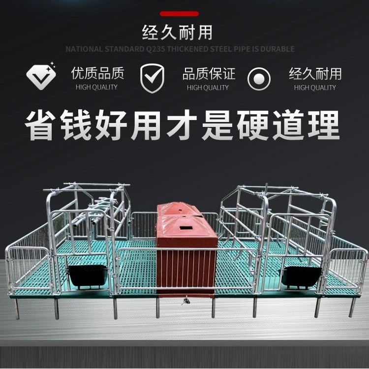 母猪产床 单双体产床 限位栏 保育床生产厂家风华畜设备厂牧自营