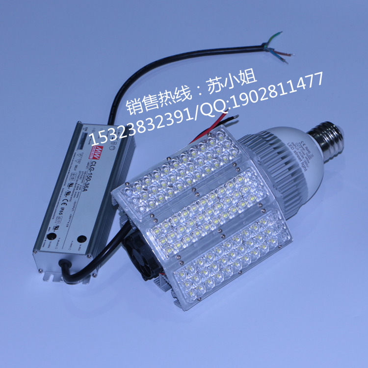 铝散热E39螺口路灯|台湾明纬IP68防水电源| LED100WE40路灯示例图1