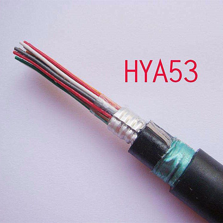 天联牌HYA53  200对通讯电缆结构表  构造图    厂家价格