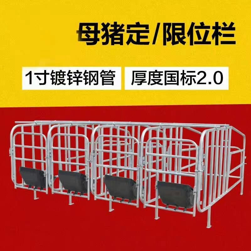 世昌畜牧 猪用定位栏 定位栏配置 定位栏厂家直销 定位栏重量