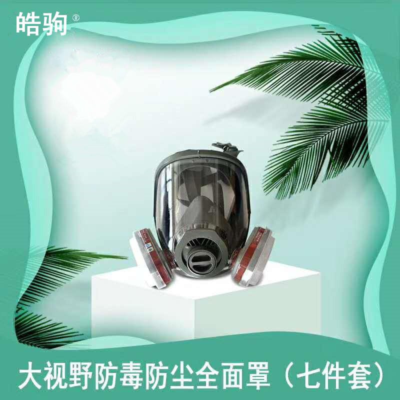 皓驹HJF05正压式空气呼吸器面罩简易防护呼吸器口鼻罩防毒面具全脸全面罩自吸过滤式防毒面具便携式全面型过滤式呼吸防护器