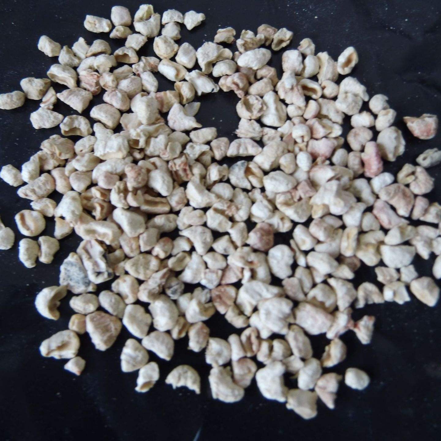 盘锦干洗店用玉米芯磨料 玉米芯磨料 干燥设备用优质玉米芯磨料  质量好