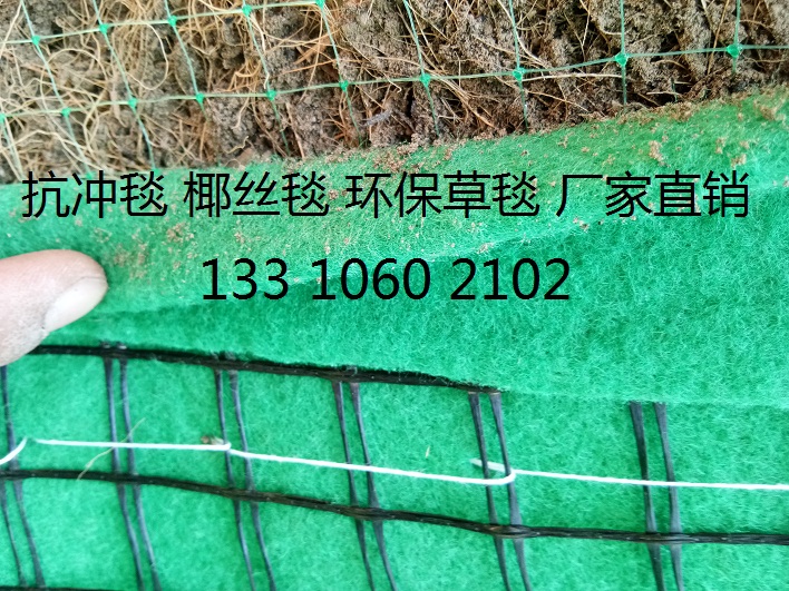 抗冲生物毯 绿化生态毯 植物纤维毯 环保草毯 植被毯 植草毯 植生毯示例图5