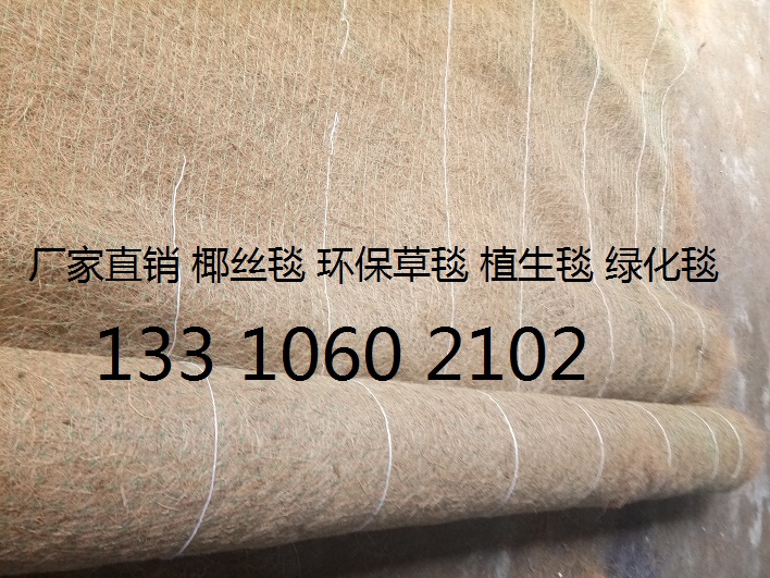 抗冲刷植草毯 加筋椰丝毯 植物纤维毯 环保草毯示例图9