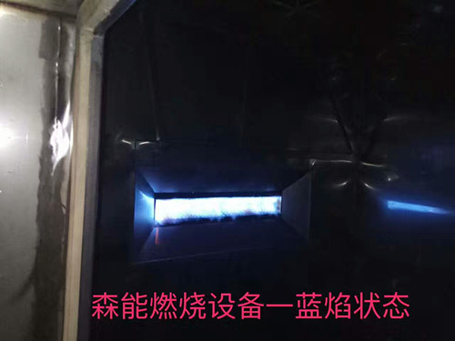 广东正英燃烧器Shoei原装DCM-20管道式燃气燃烧器示例图2
