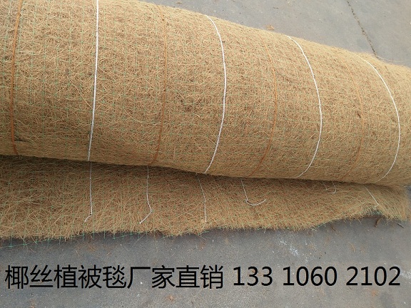 绿化草毯 植物纤维毯边坡绿化 环保草毯 椰丝毯示例图3
