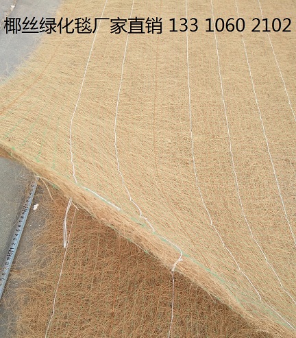 绿化草毯 植物纤维毯边坡绿化 环保草毯 椰丝毯示例图8