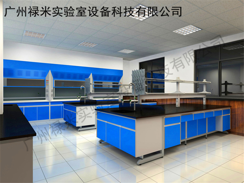 实验室家具生产厂家(钢木,全钢，PP结构)-禄米科技示例图3
