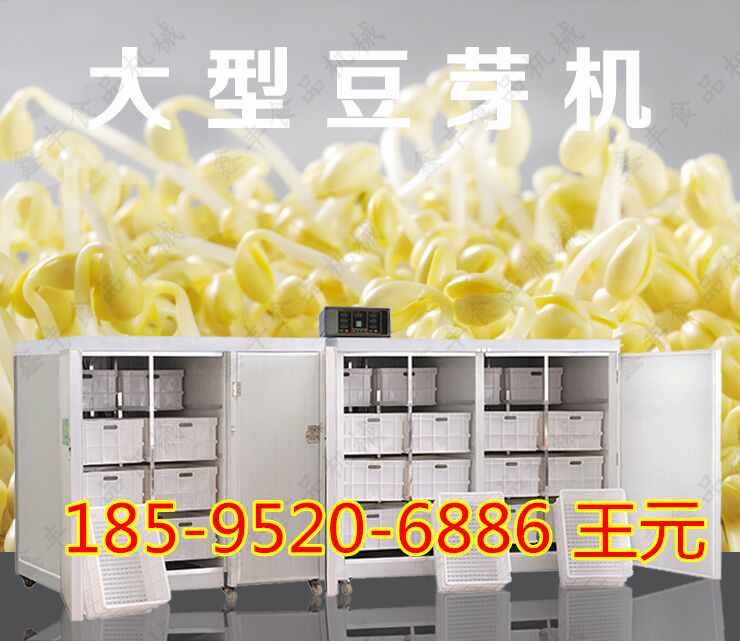 广东豆芽机 黄豆芽机厂家 全自动豆芽机价格示例图8