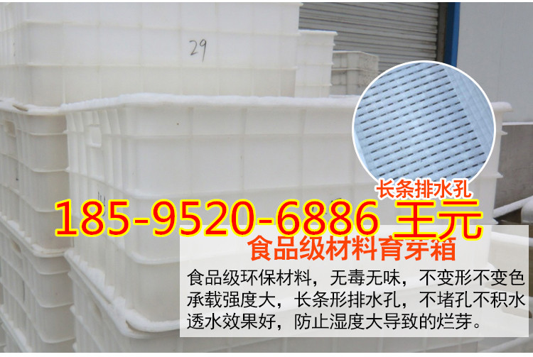 山东豆芽机厂家 全自动豆芽机设备 全自动豆芽清洗机示例图10