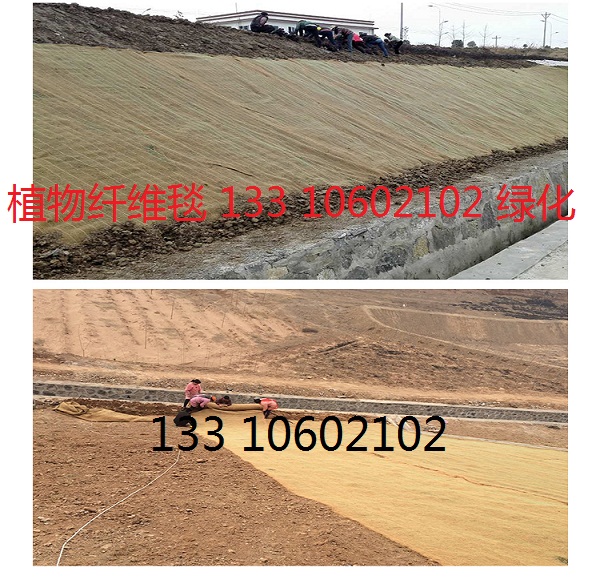 贵州边坡防护环保草毯|环保草毯|护坡草毯价格示例图5