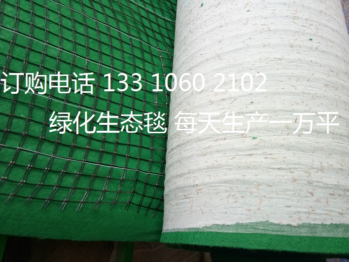 贵州边坡防护环保草毯|环保草毯|护坡草毯价格示例图6
