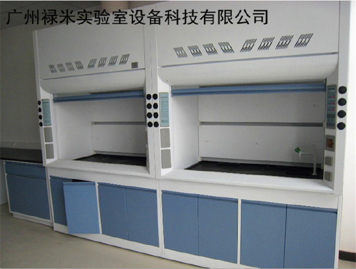 湖南全钢通风柜生产厂家 郴州实验室设备 实验室系统工程 禄米示例图1