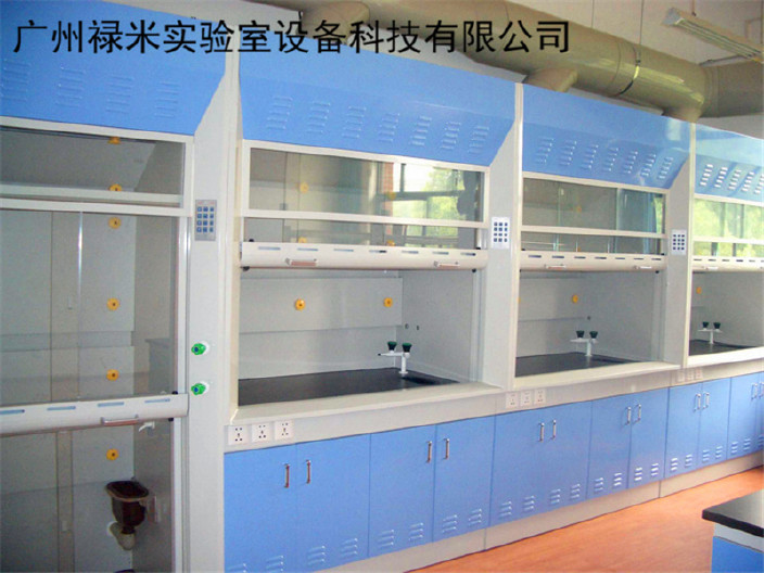 湖南全钢通风柜生产厂家 郴州实验室设备 实验室系统工程 禄米示例图3