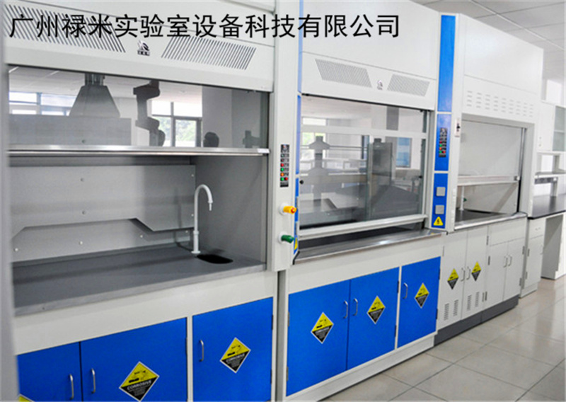 广州全钢通风柜，PP通风柜，厂家特价直销 禄米实验室设备示例图2