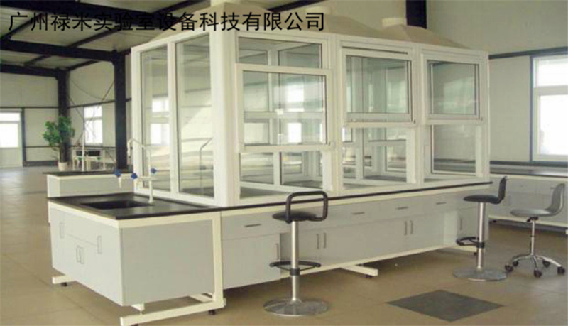 广州禄米实验室案例 化学实验室桌上型通风橱图片LUMI-TF30Z 采用冷轧钢板冲压、折弯制作组合而成 抗腐蚀、耐高温示例图2