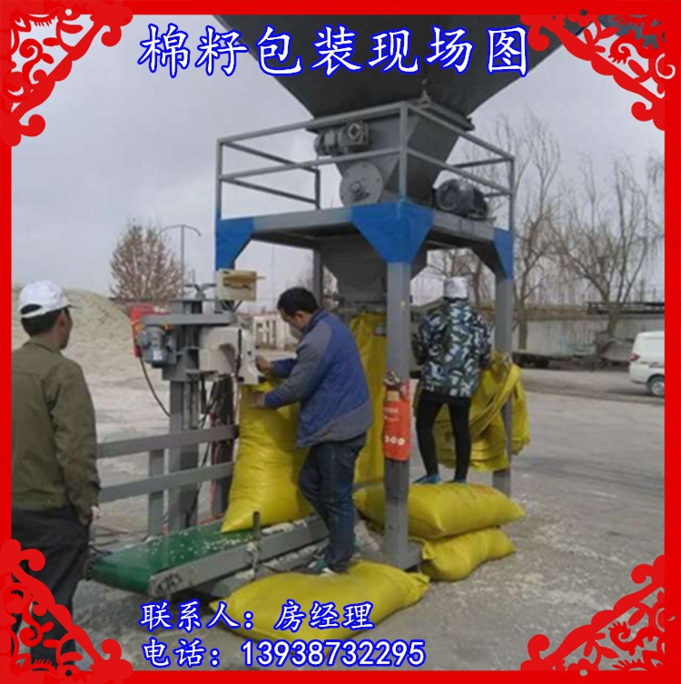 磷肥100斤装袋机 自动计量称重 立式下料 灌装 打包示例图11