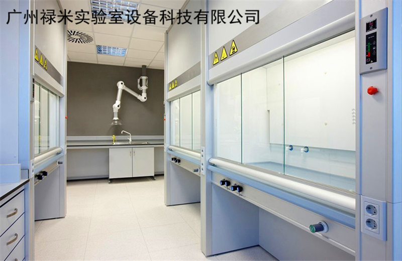 广东步入式通风柜生产厂家 步入式排毒柜 新款实验室设备示例图2