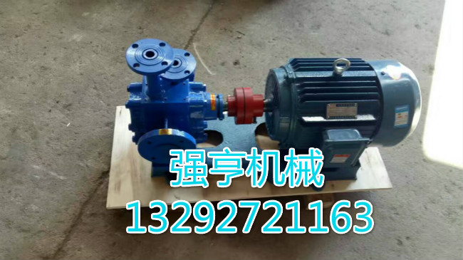 淄博强亨机械RCB保温齿轮泵沥青松香专用泵示例图2
