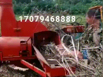 10吨配套柴油机加工树枝视频.gif